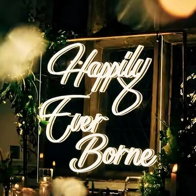 Business Store RGB LED Neon Flex Light Rope Sign Wall Decor IP65 ODM