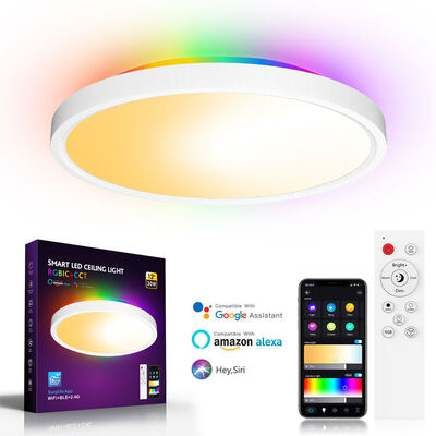 Smart Tuya WiFi LED Round Ceiling Light RGBCW Surface Mounted OEM