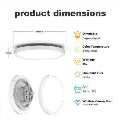 Smart Tuya WiFi LED Round Ceiling Light RGBCW Surface Mounted OEM