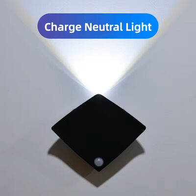 Modern Style DC5V LED Wall Install Battery Rechargeable Manta Rays Motion Light Smart Sensor LED Night Light Beside
