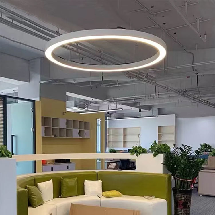 Adjustable Oval Suspended Dimmable Linear Led Light 1800mm For Gym Showroom