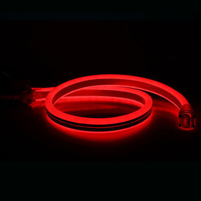 220V RGB LED 네온 플렉스 라이트 IP68 방수 크리스마스 장식품
