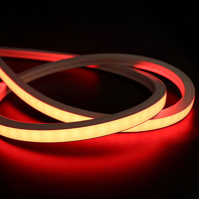 16x16mm IP65 IP68 impermeabile Mono Color Food Grade Silicone LED Neon Flex Light 12V 24V